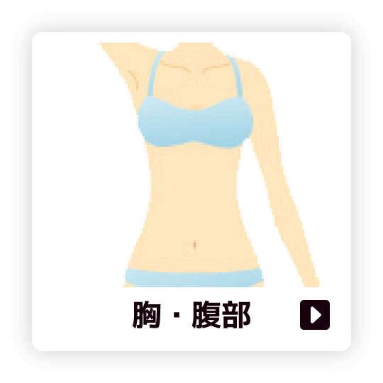 胸・腹部